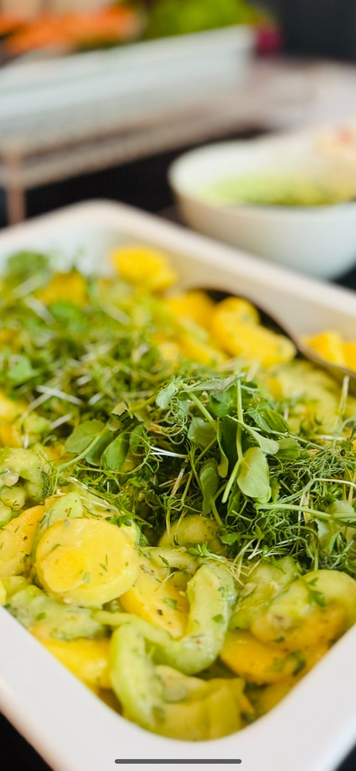 Kartoffel-Gurkensalat mit Wiener Schnitzel